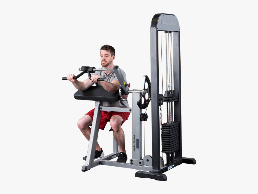 Bicep Preacher Curl Machine, HD Png Download, Free Download