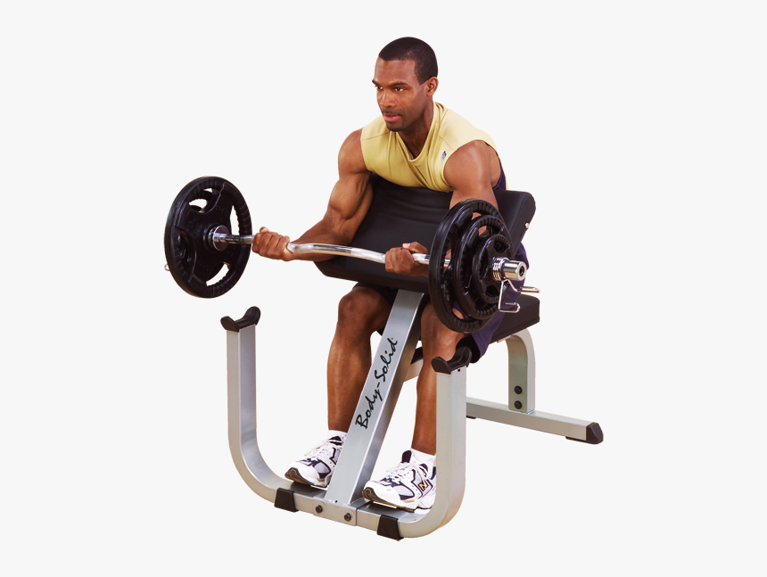 Body Solid Gpcb329 Preacher Curl Bench By Body Basics - Biceps Curl On Bench, HD Png Download, Free Download