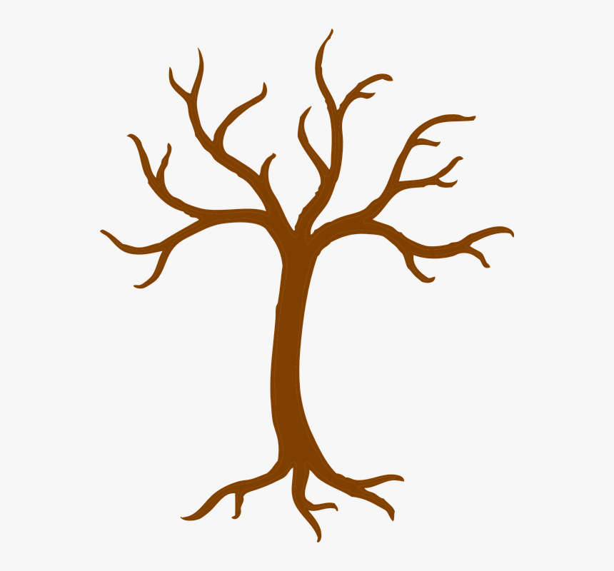 Autumn Tree Clip Art - Bare Tree Clipart, HD Png Download, Free Download