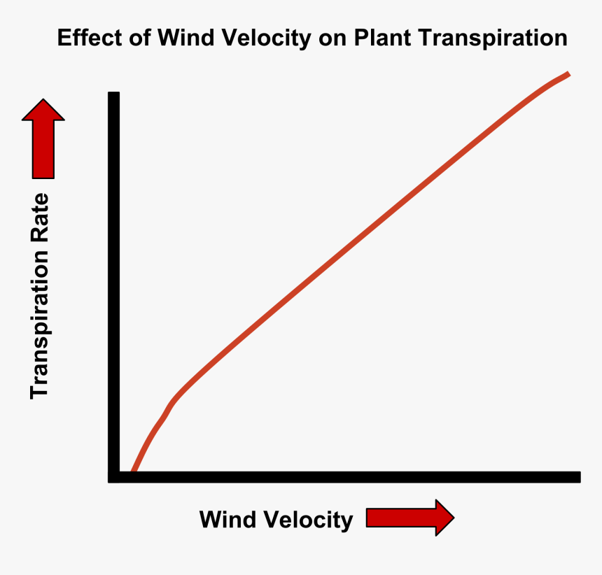 Wind Speed Transpiration Graph , Png Download - Wind Speed Transpiration Graph, Transparent Png, Free Download