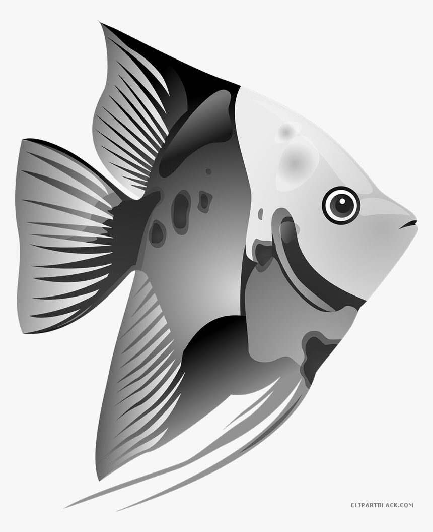 Transparent Fish Drawing Png - Tropical Fish Clipart, Png Download, Free Download