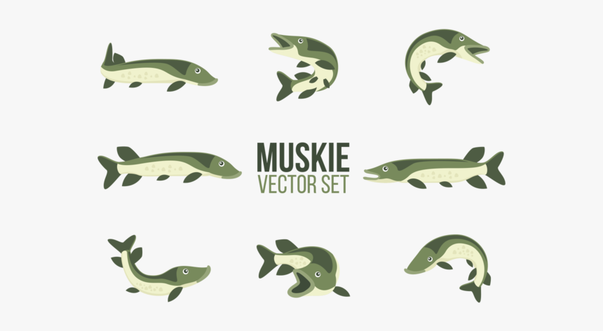 Muskie Cartoons - Vintage Bw Women With Musky, HD Png Download, Free Download