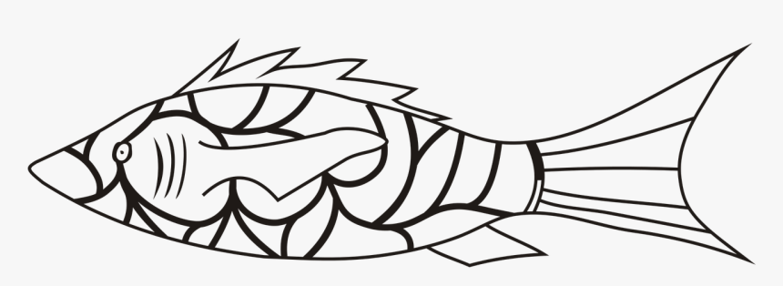 Fish Symbol Vector Free Photo - Spalvinimo Paveiksliukai Zuvis, HD Png Download, Free Download