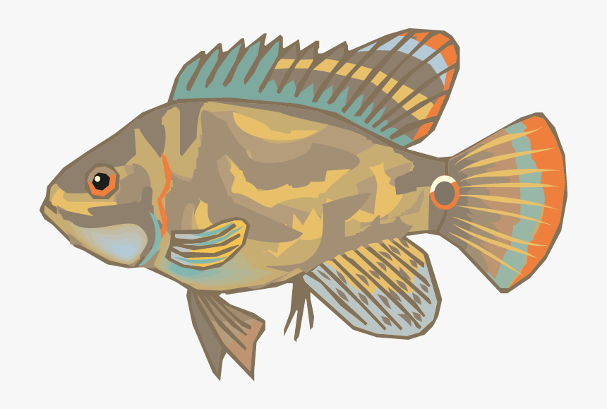 Different Fish Vector Set Png - Pomacentridae, Transparent Png, Free Download