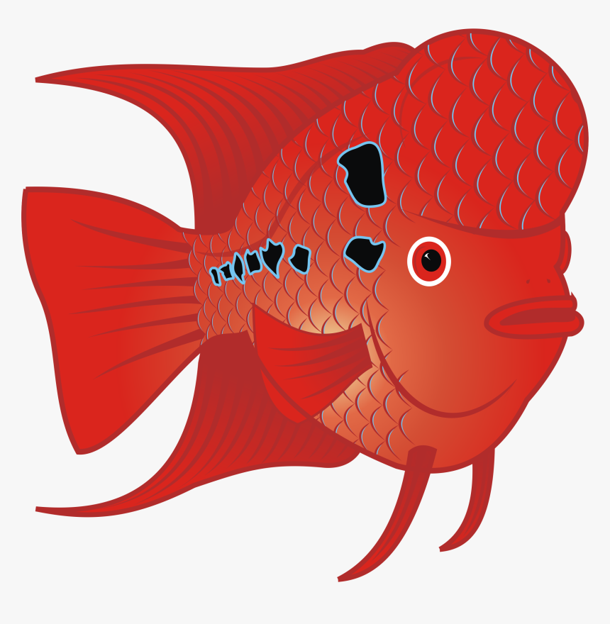 Flowerhorn Clip Art, HD Png Download, Free Download