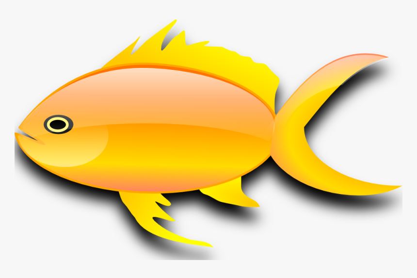 Pez Dorado - Fish Gif Images Png, Transparent Png, Free Download