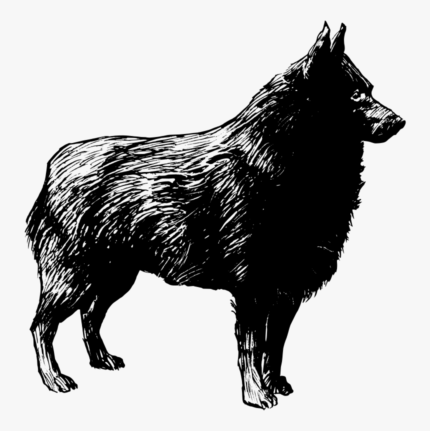 Transparent Great Dane Png - Schipperke Png, Png Download, Free Download