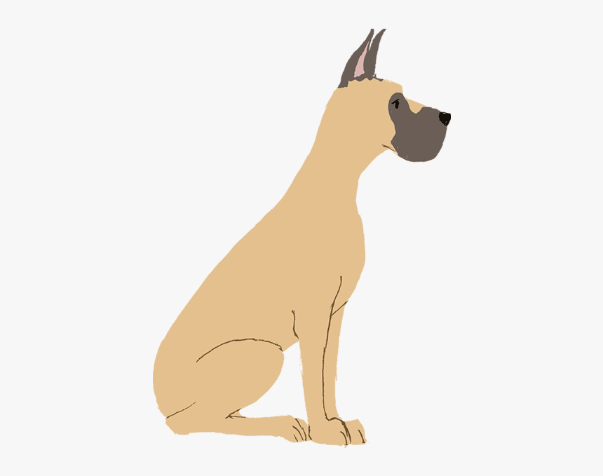 Great Dane, HD Png Download, Free Download