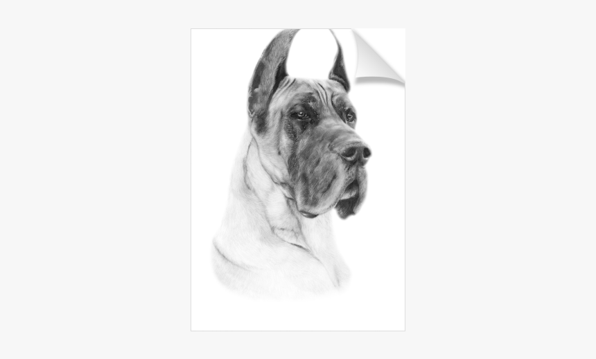 Giant Dog Breed, HD Png Download, Free Download