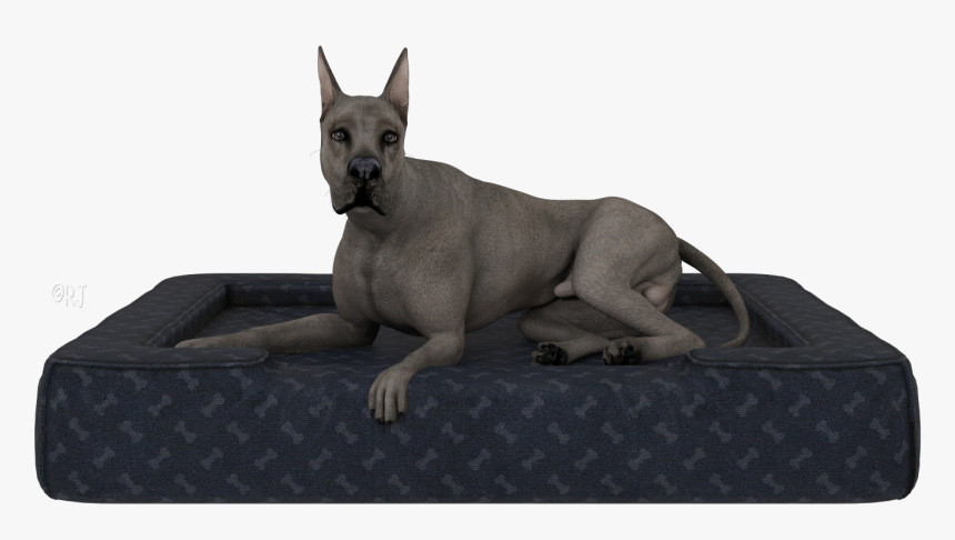 Giant Dog Breed, HD Png Download, Free Download