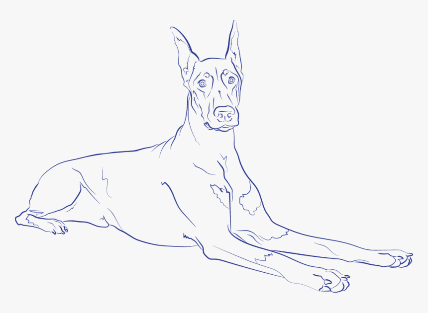 Great Dane , Png Download - Great Dane, Transparent Png, Free Download