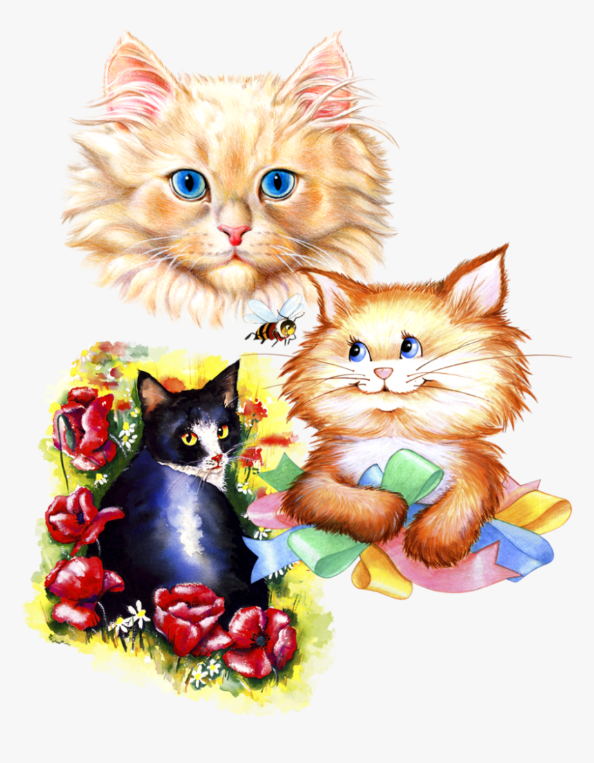 Kitten, HD Png Download, Free Download