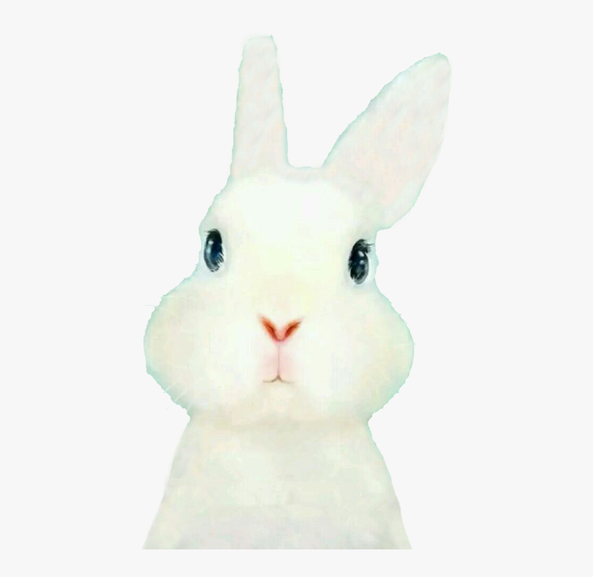 Domestic Rabbit Easter Bunny Hare Embroidery - Domestic Rabbit, HD Png Download, Free Download