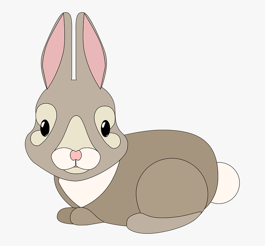 Graphic, Bunny, Rebbit, Cute, Cuddly, Animal, Mammal - Kreslený Zajíc, HD Png Download, Free Download