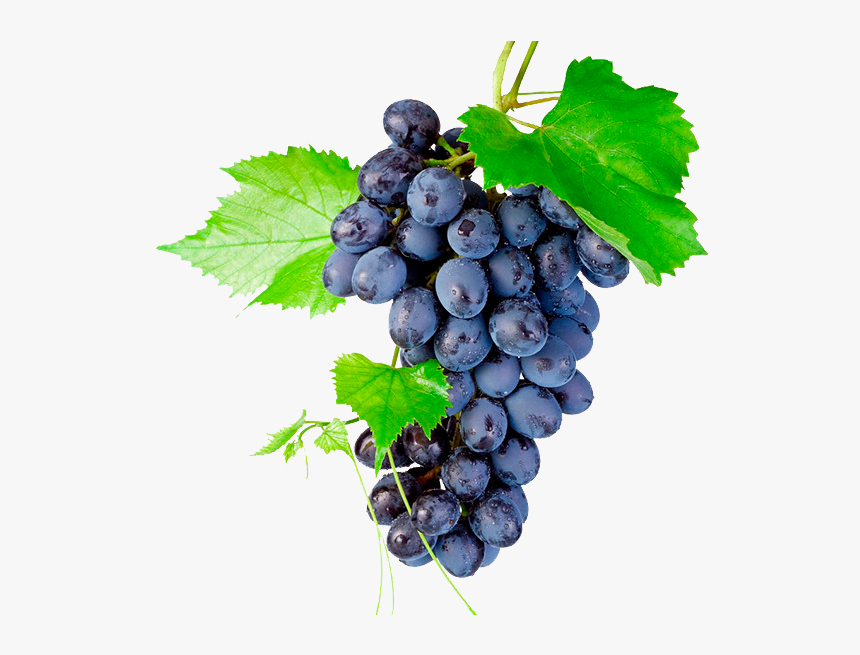 Bunch Of Grapes Png, Transparent Png, Free Download