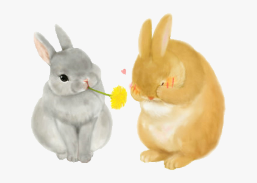 Clip Art Rabbits Cute - Bunny Illustrations, HD Png Download, Free Download