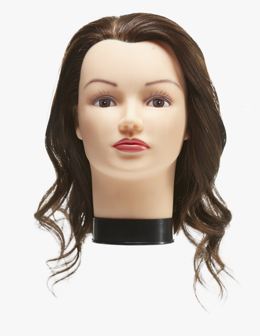 State Board Mannequin Head - Transparent Mannequin Head Png, Png Download, Free Download