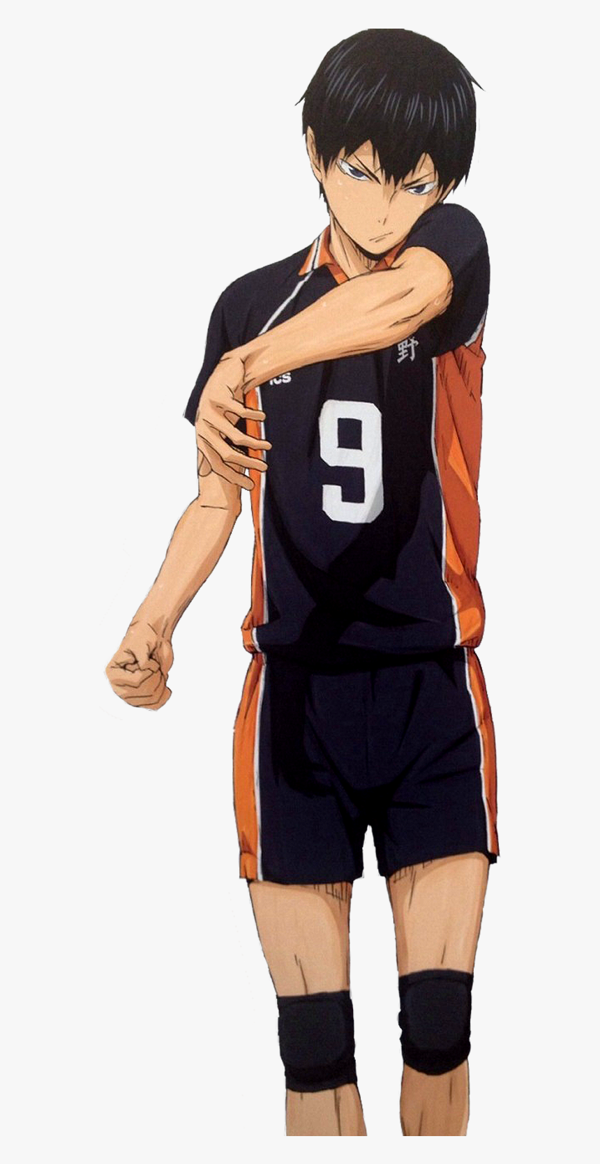 All Worlds Alliance Wiki - Haikyuu Facts, HD Png Download, Free Download