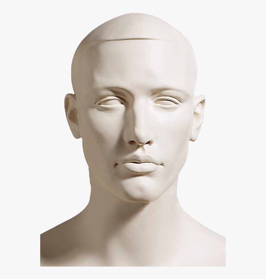 Head. Голова человека. GOLOWA cheloweka. Муляж головы. Голова спереди