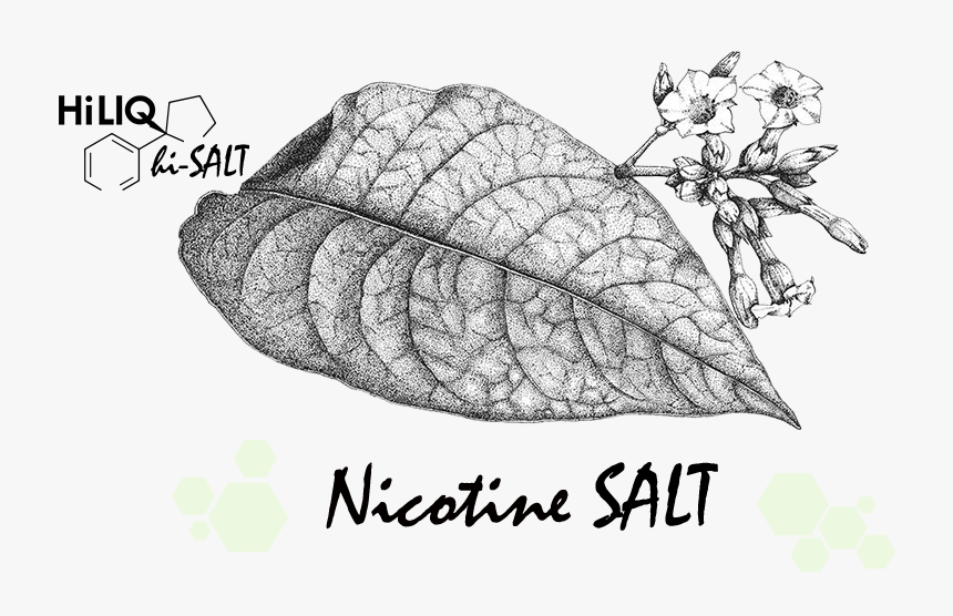 Nicotine Salts Tobacco Leaf, HD Png Download, Free Download