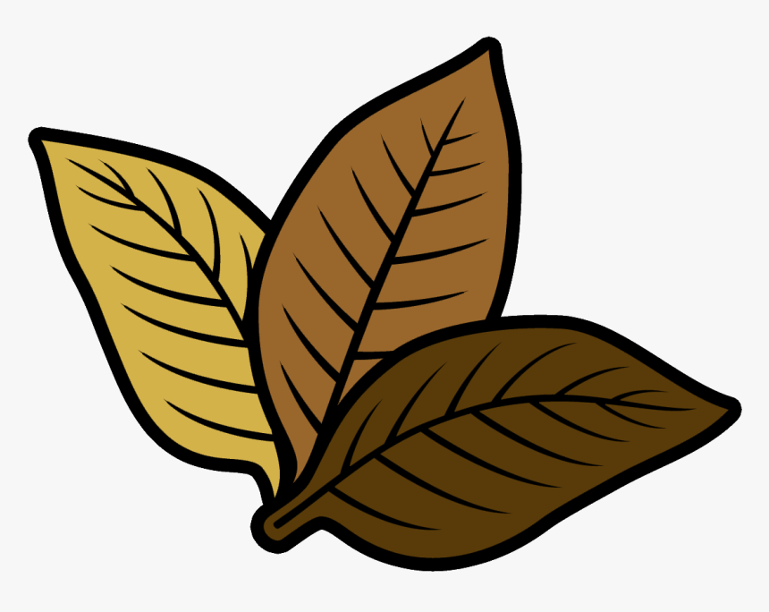 Tobacco Crop Clip Art, HD Png Download, Free Download