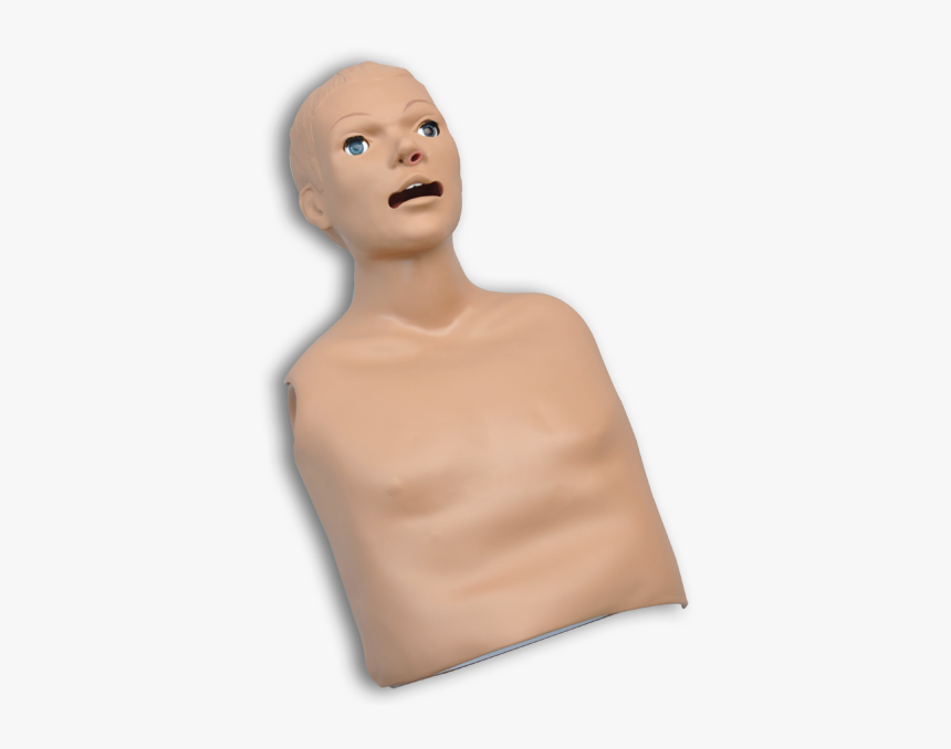 S309 Cpr Simon Torso With Omni Code Blue Pack - Cpr Dummy, HD Png Download, Free Download