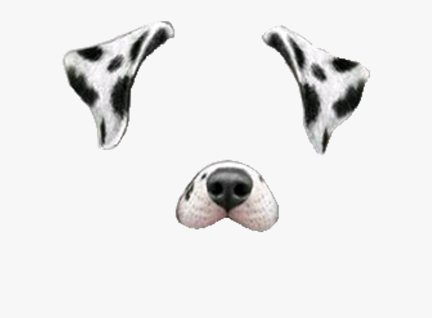 Dalmatian Dog Miniature Schnauzer Snapchat Clip Art - Snapchat Filters Cut Out, HD Png Download, Free Download