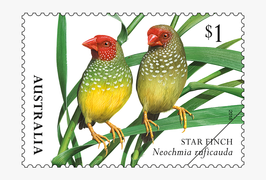 Current Australian Postage Stamps, HD Png Download kindpng