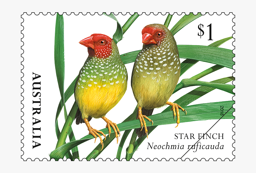 Current Australian Postage Stamps, HD Png Download, Free Download