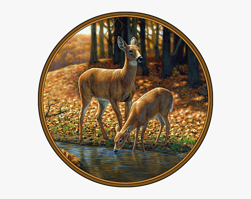 Whitetail Deer - Autumn Innocence 1, HD Png Download, Free Download