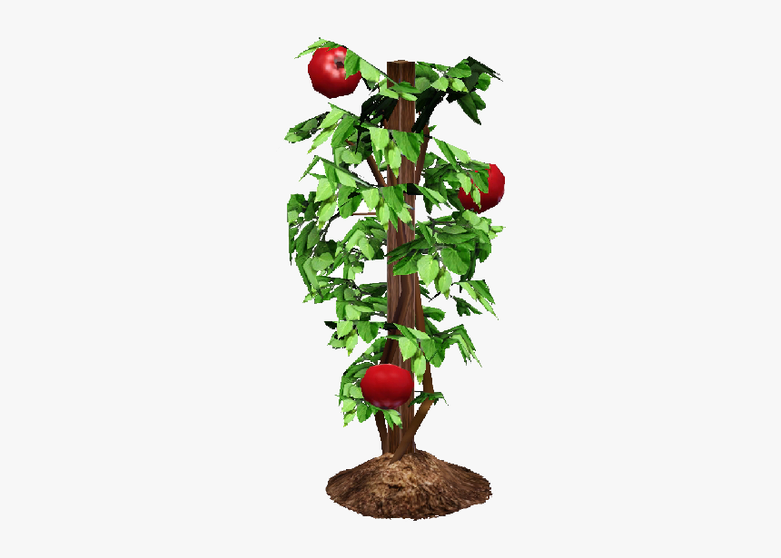 Tomato Plant Png - Tomato Plant Transparent, Png Download, Free Download