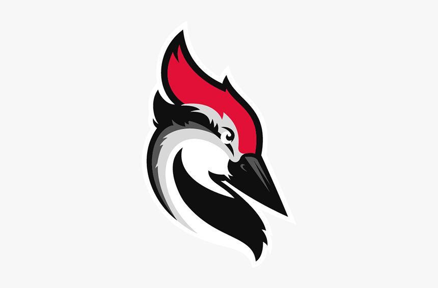 Woodpecker Mail, HD Png Download, Free Download
