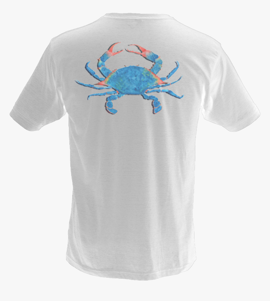 Chesapeake Blue Crab, HD Png Download, Free Download