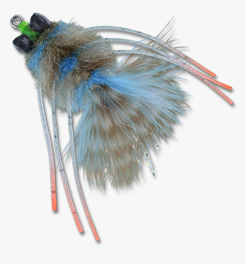 Blue Crab - - House Fly, HD Png Download, Free Download