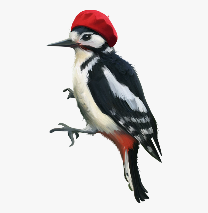 Woodpecker Png - Woodpecker Bird Png, Transparent Png, Free Download