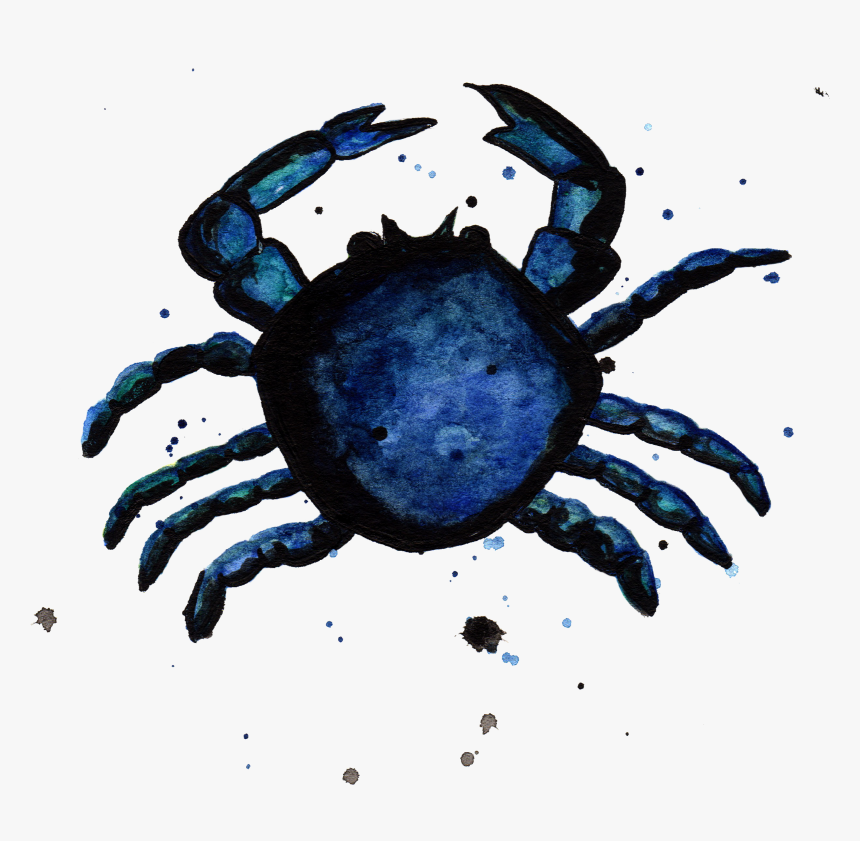Blue Crab By Chrystal Elizabeth - Cancer, HD Png Download, Free Download