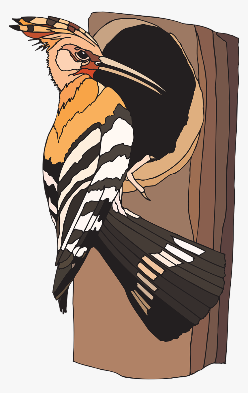 Transparent Woodpecker Png - Woodpecker Bird Nest Clipart, Png Download, Free Download