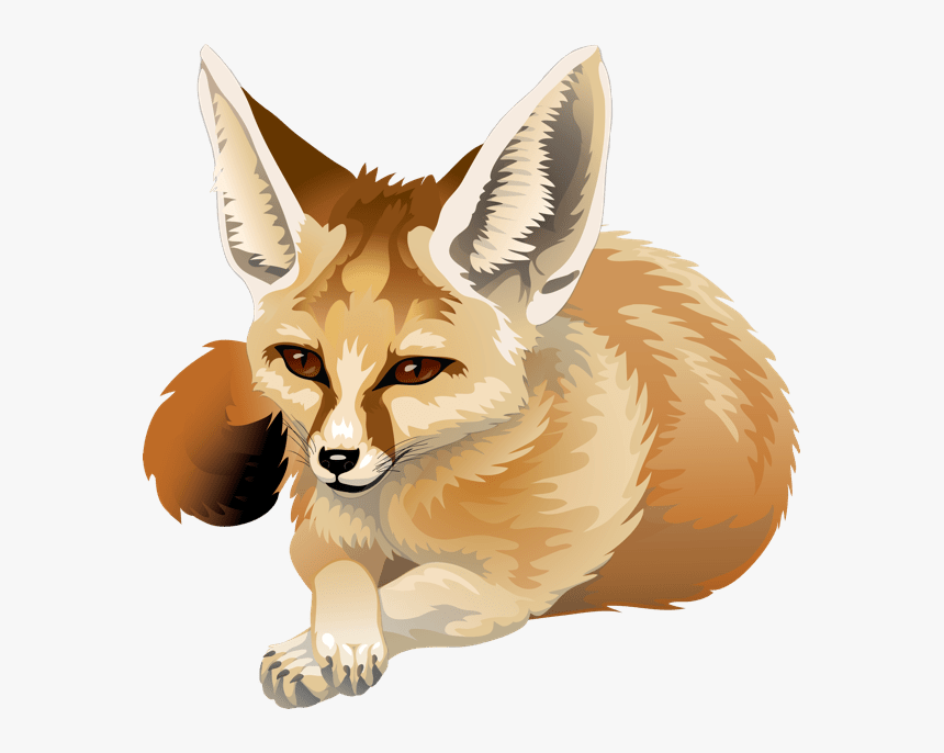 Transparent Fennec Fox Png - Drawings Of A Cartoon Fennec Fox, Png Download, Free Download
