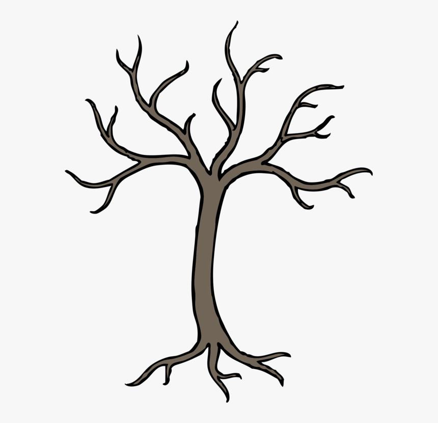 Collection Of Free Branches Drawing Real Tree Download - Tree With No Leaves Drawing, HD Png Download, Free Download