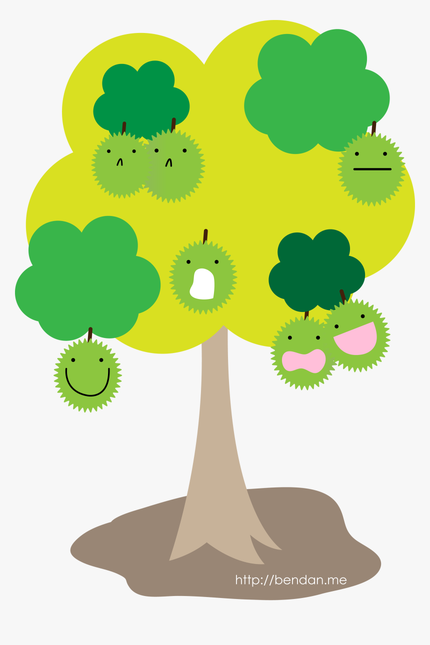 Durian Fruit Tree - Durian Tree Clipart, HD Png Download, Free Download