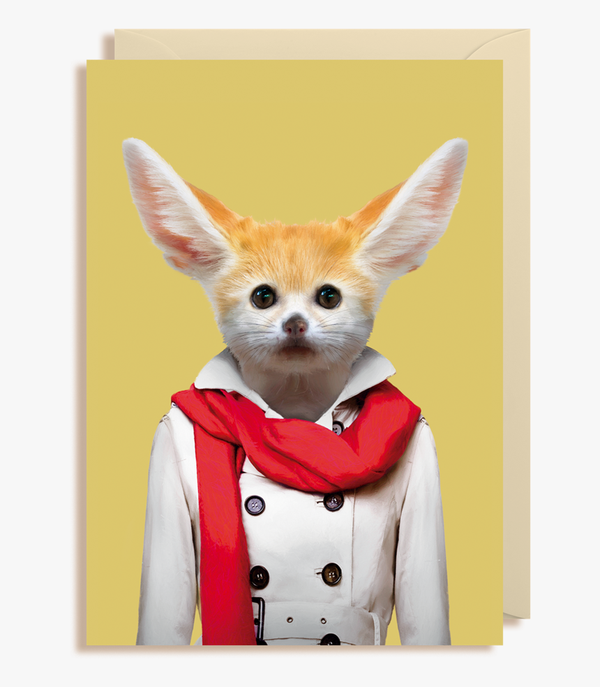 Fennec Fox, HD Png Download, Free Download