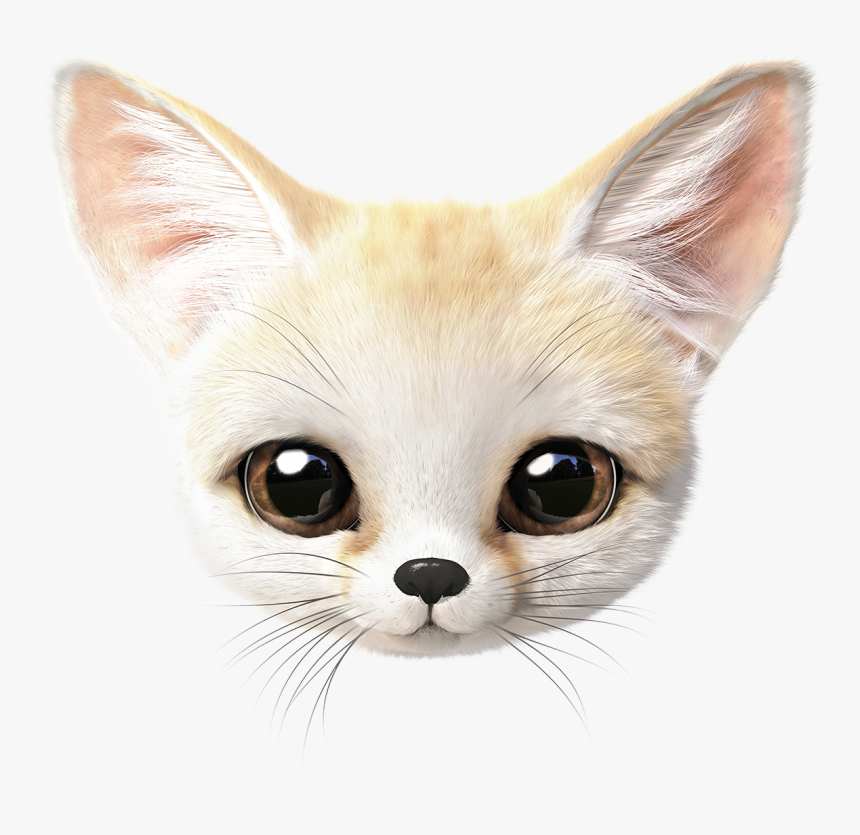 Fennec Fox Wallpaper Phone, HD Png Download, Free Download