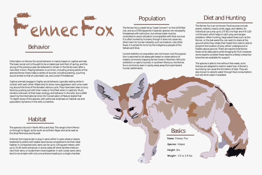 Red Fox - Dog, HD Png Download, Free Download