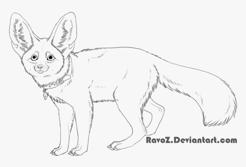 Fennec Fox Comm - Fennec Fox And Panda, HD Png Download, Free Download