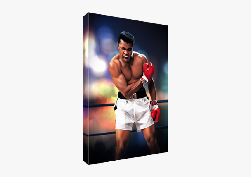 Muhammad Ali Boxer Knocks Out Sonny Liston Cassius, HD Png Download, Free Download