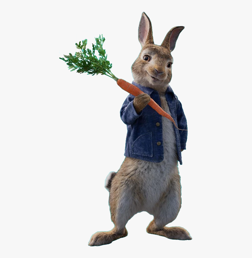 Peter Rabbit - Peter Rabbit Sony Pictures Animation, HD Png Download, Free Download