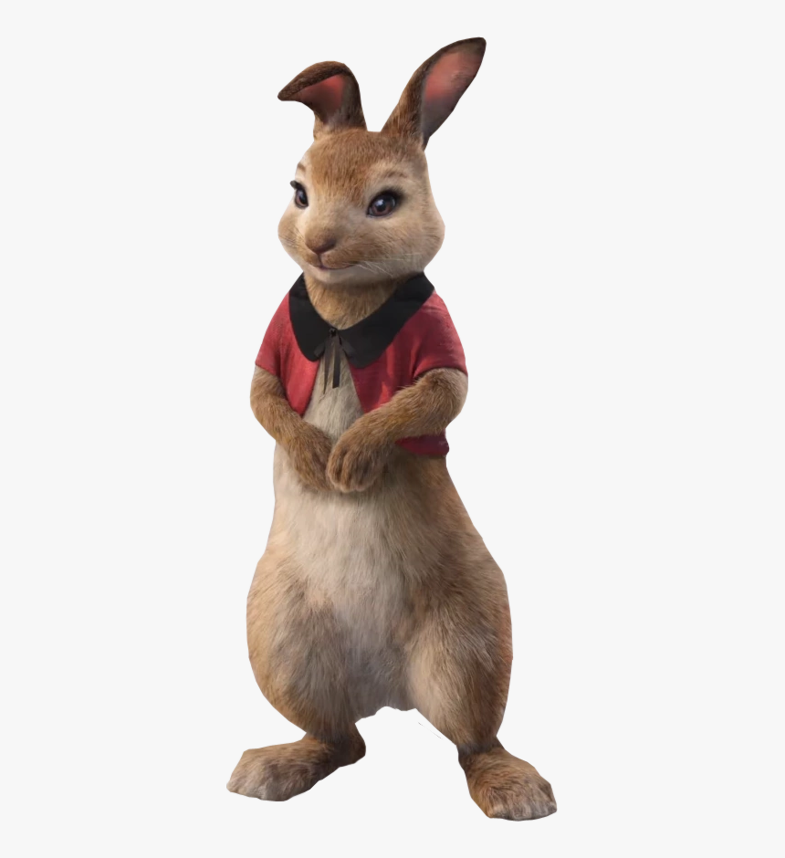 Sony Pictures Animation Wiki - Peter Rabbit Characters Flopsy, HD Png Download, Free Download