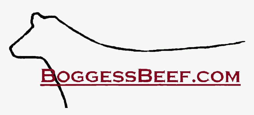 Boggessbeef - Darkness, HD Png Download, Free Download
