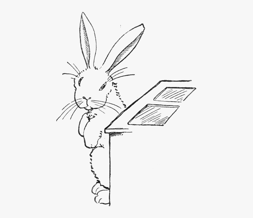 Peter Rabbit Albert 25 - Domestic Rabbit, HD Png Download, Free Download