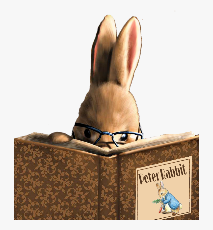 #bunny #reading #book #peterrabbit, HD Png Download, Free Download